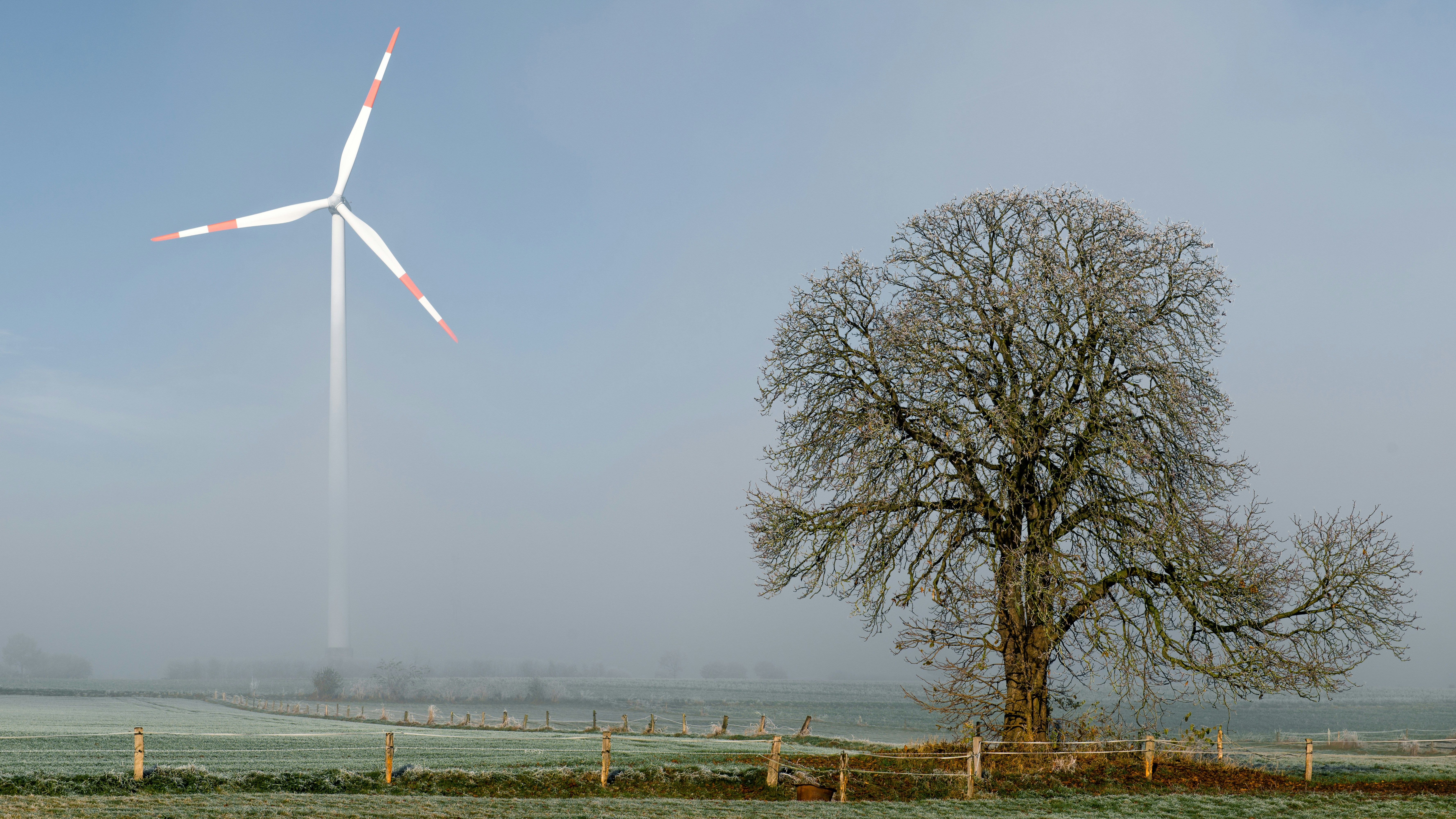 Windrad in frostiger Landschaft mit Baum im Vordergrund