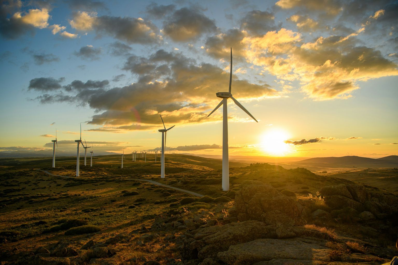 Mehrere Windräder in der Lichtstimmung des Sonnenuntergangs
